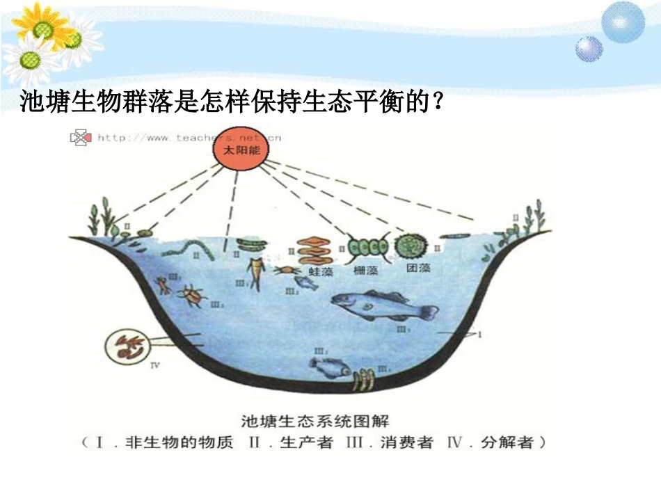 《做个小生态瓶》池塘群落PPT课件[鄂教版五年级科学上册]_第1页