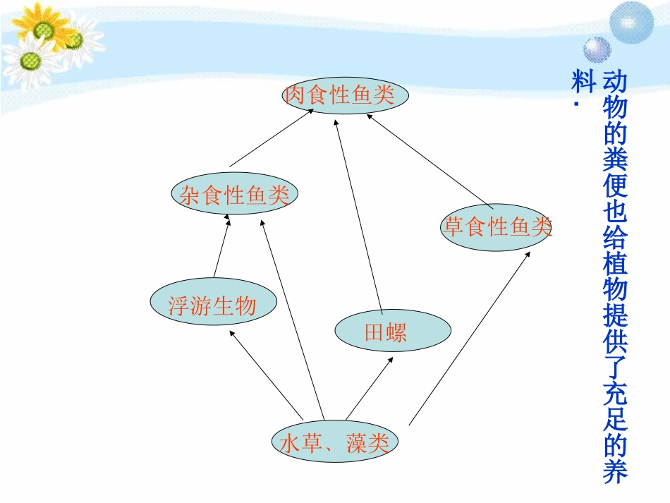 《做个小生态瓶》池塘群落PPT课件[鄂教版五年级科学上册]_第3页