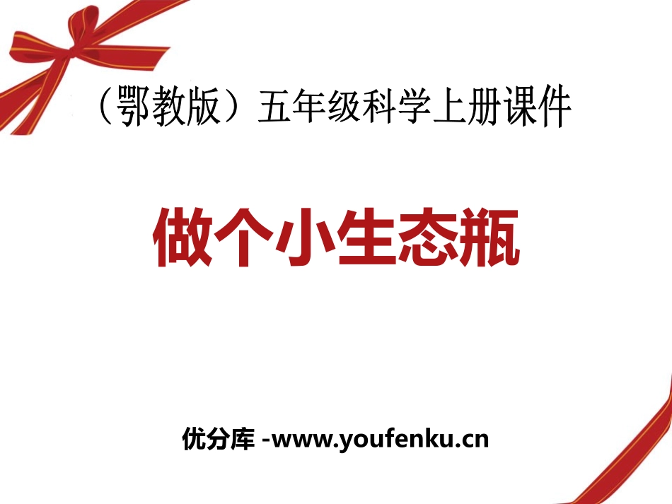 《做个小生态瓶》池塘群落PPT课件[鄂教版五年级科学上册]_第1页