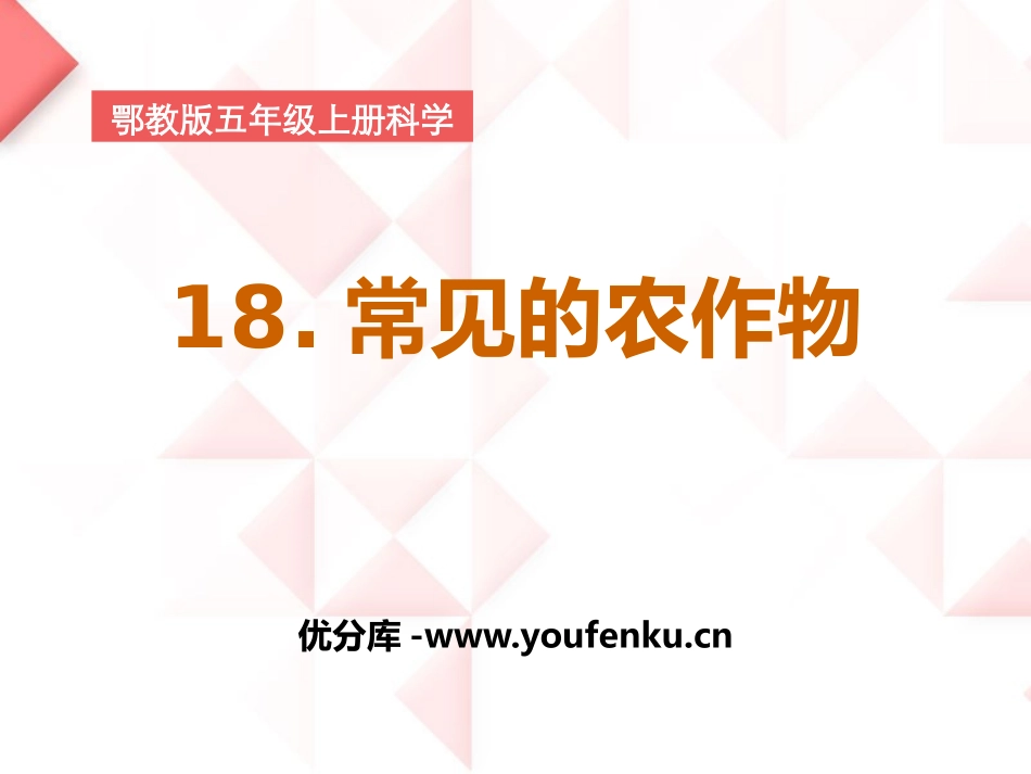《常见的农作物》农田PPT课件[鄂教版五年级科学上册]_第1页