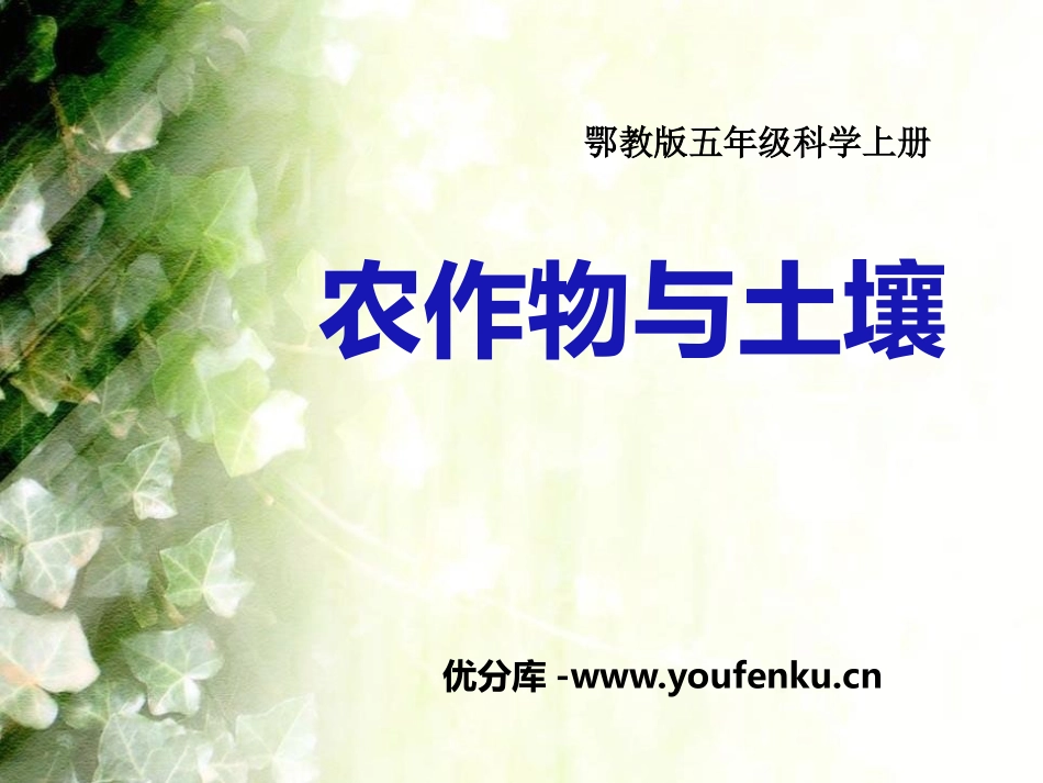 《农作物与土壤》农田PPT课件[鄂教版五年级科学上册]_第1页