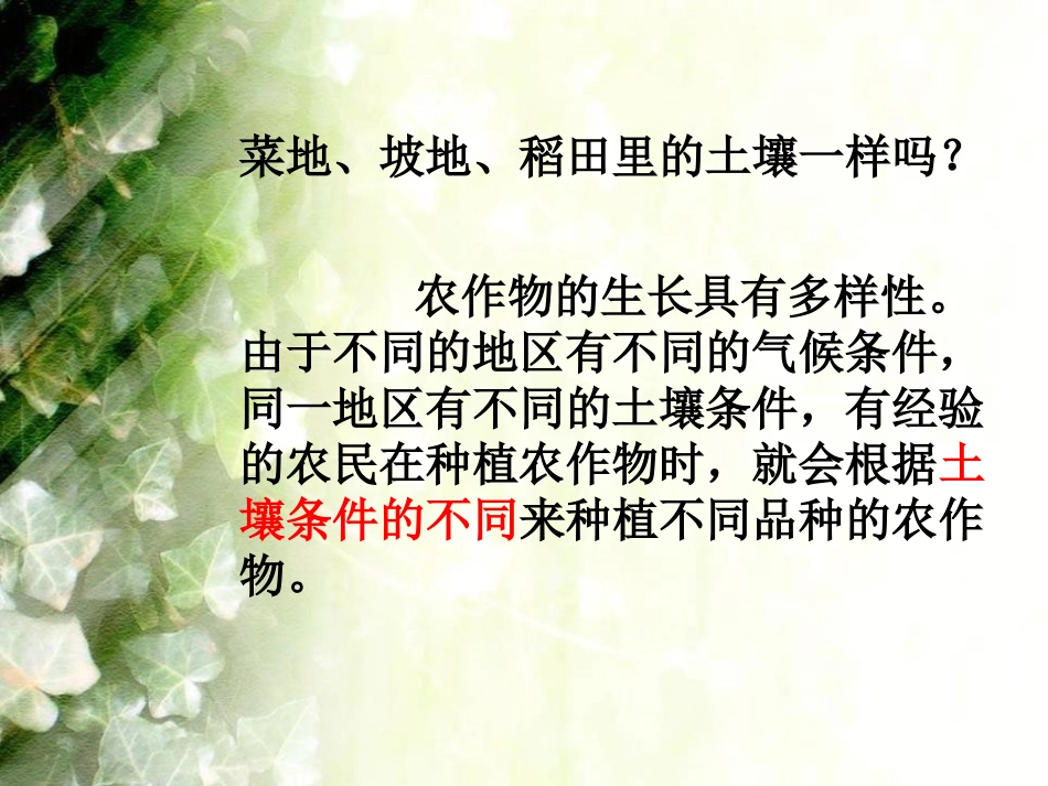《农作物与土壤》农田PPT课件[鄂教版五年级科学上册]_第2页