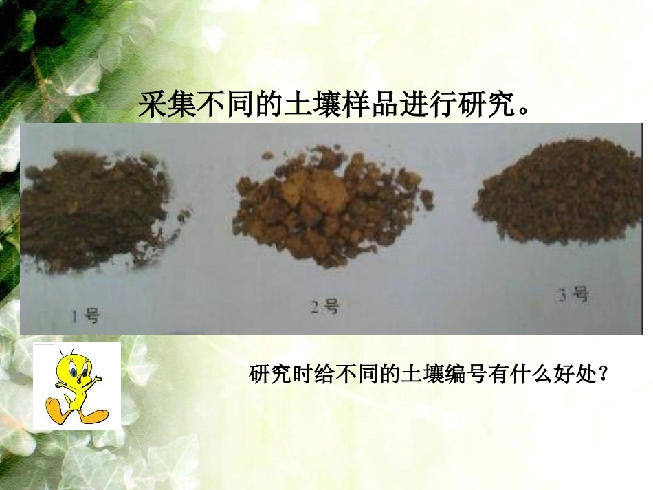 《农作物与土壤》农田PPT课件[鄂教版五年级科学上册]_第3页