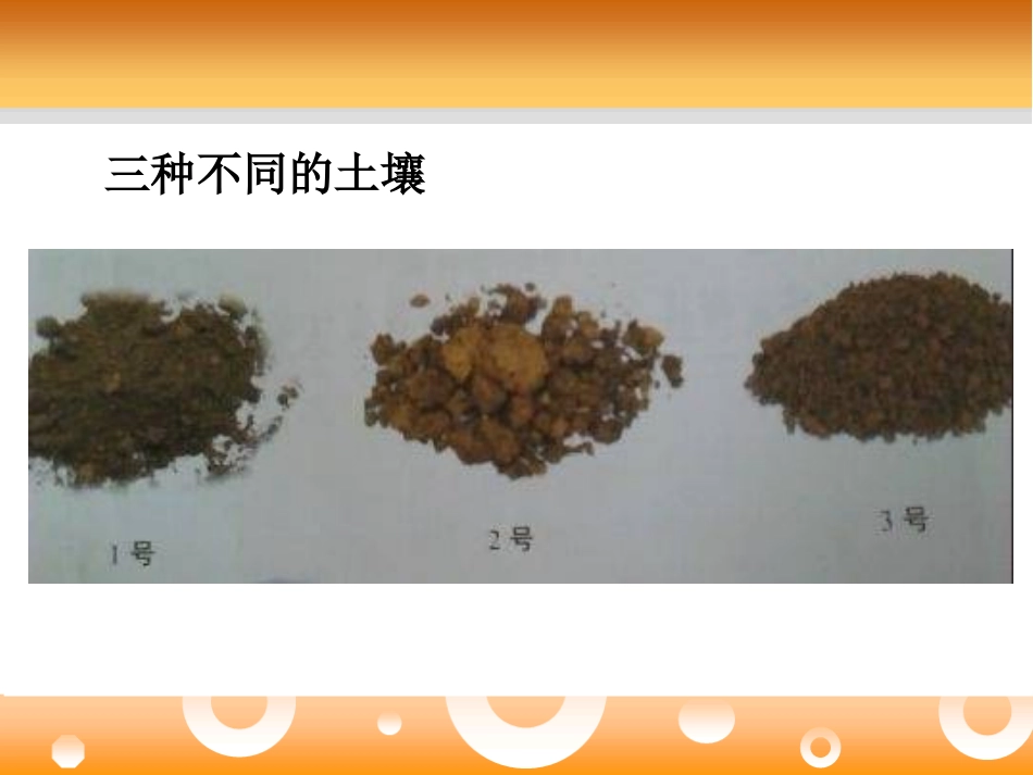 《农作物与土壤》农田PPT课件[鄂教版五年级科学上册]_第3页