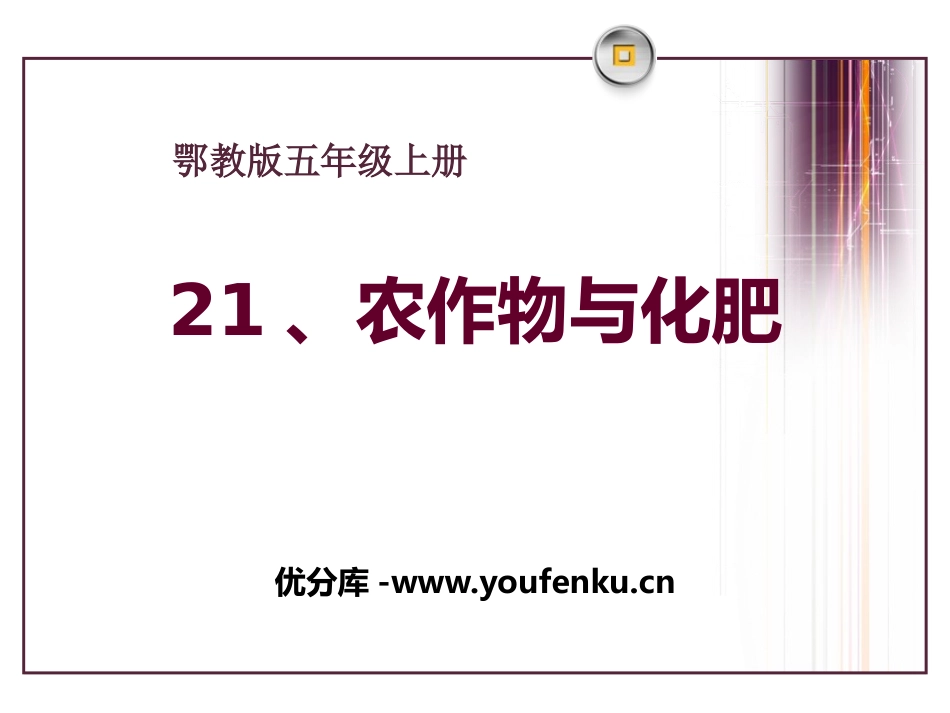 《农作物与化肥》农田PPT课件[鄂教版五年级科学上册]_第1页
