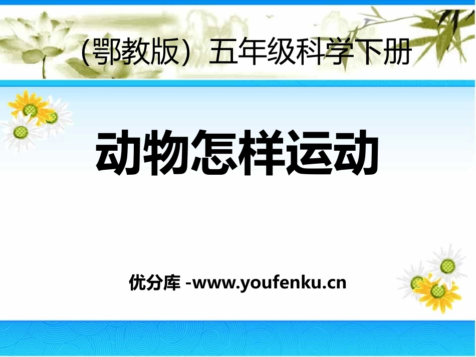 《动物怎样运动》PPT课件[鄂教版五年级科学下册]_第1页