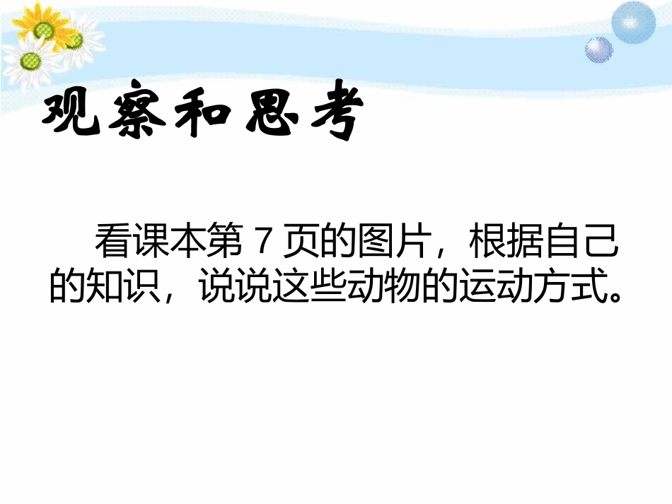《动物怎样运动》PPT课件[鄂教版五年级科学下册]_第2页