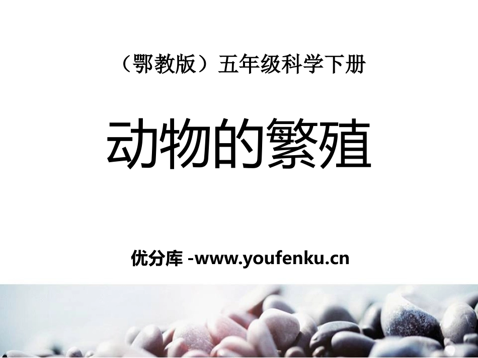 《动物的繁殖》PPT课件[鄂教版五年级科学下册]_第1页