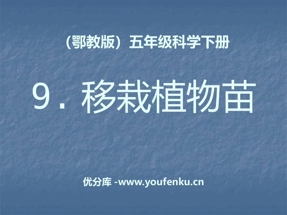 《移载植物苗》PPT课件[鄂教版五年级科学下册]_第1页