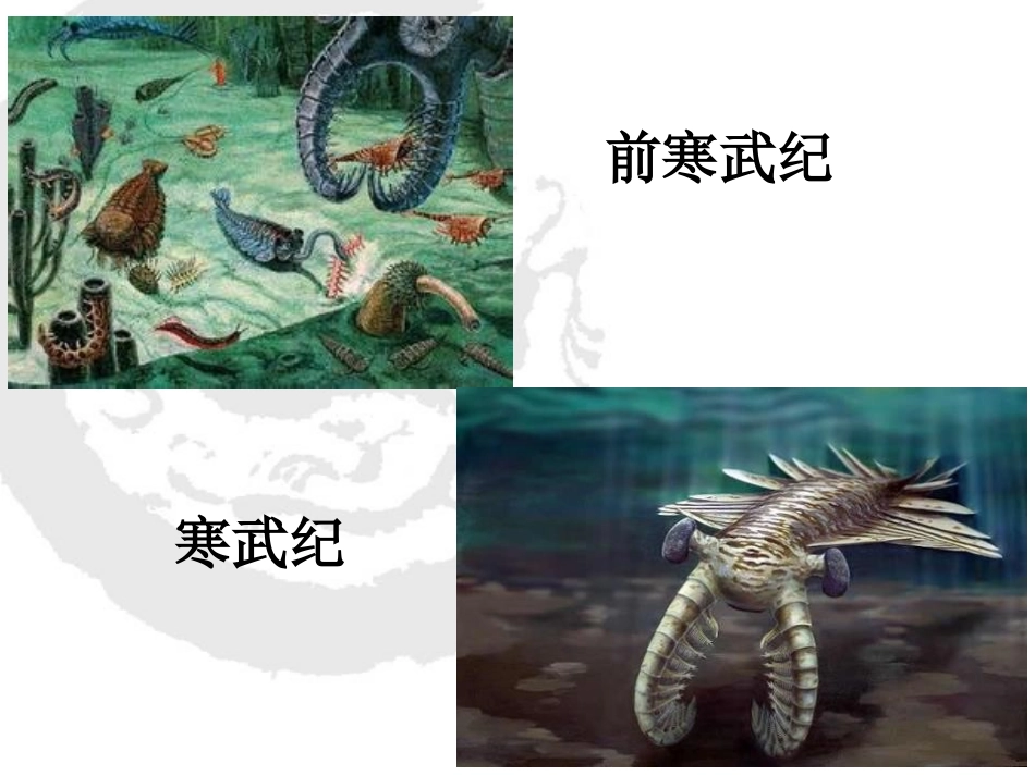 《建立地球档案》我们居住的星球PPT课件[鄂教版六年级科学]_第2页