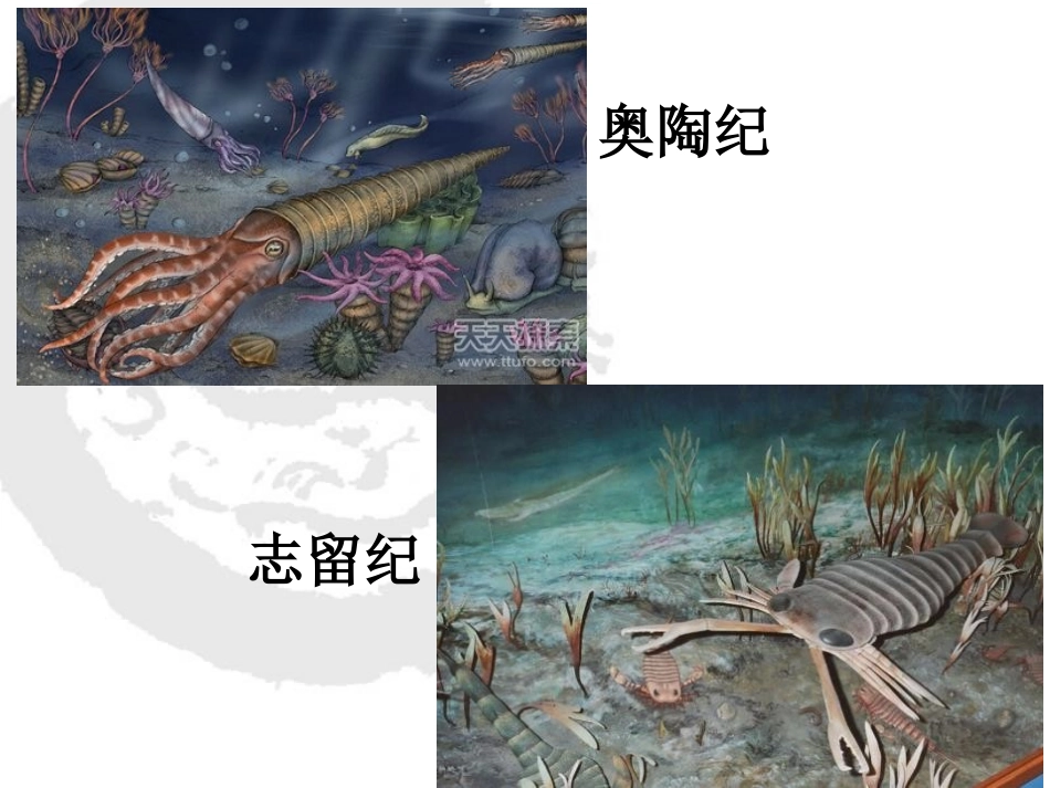 《建立地球档案》我们居住的星球PPT课件[鄂教版六年级科学]_第3页