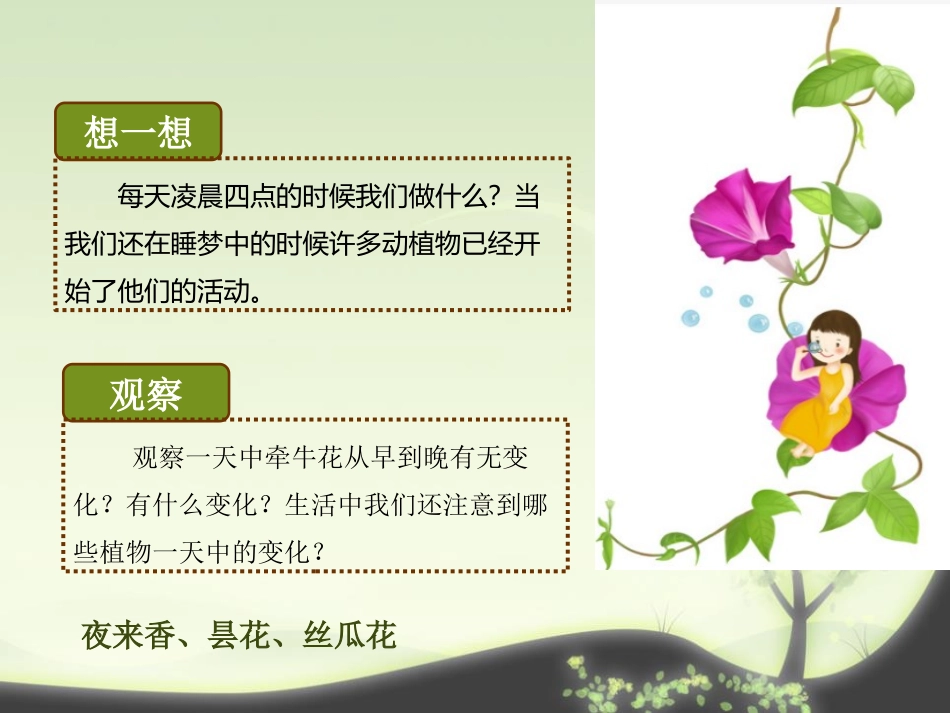 《一天中的动植物》地球上的一天PPT课件[鄂教版六年级科学]_第2页