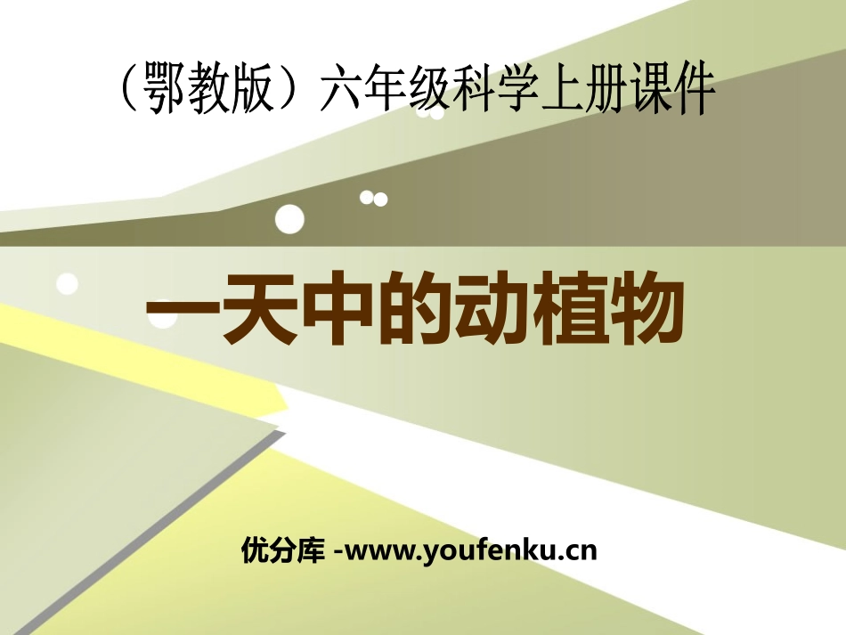 《一天中的动植物》地球上的一天PPT课件[鄂教版六年级科学]_第1页