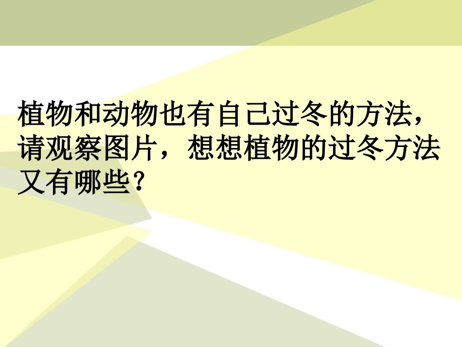 《动植物是怎样过冬的》四季中的变化PPT课件[鄂教版六年级科学]_第3页
