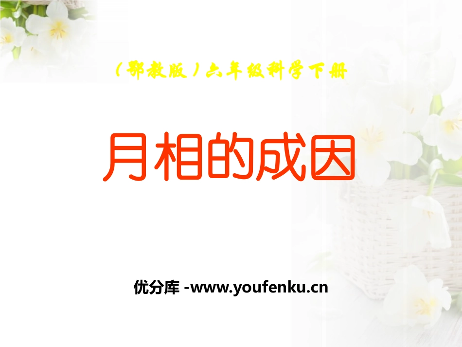 《月相的成因》PPT课件[鄂教版六年级科学下册]_第1页