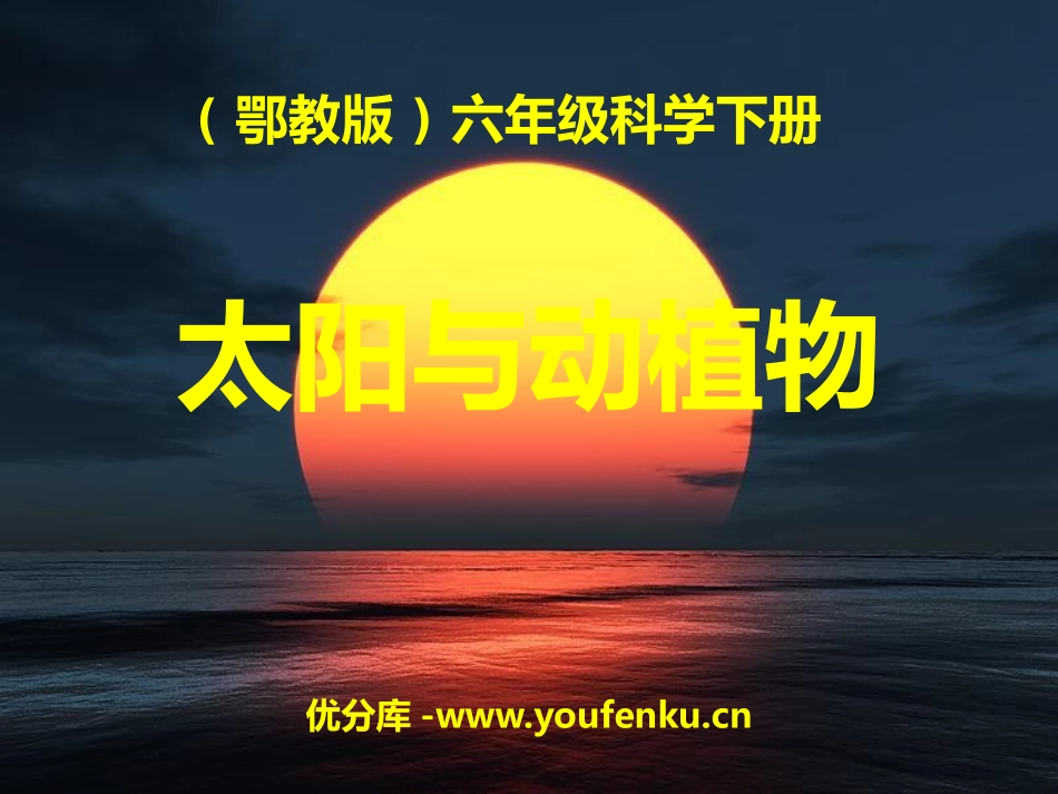 《太阳与动植物》PPT课件[鄂教版六年级科学下册]_第1页
