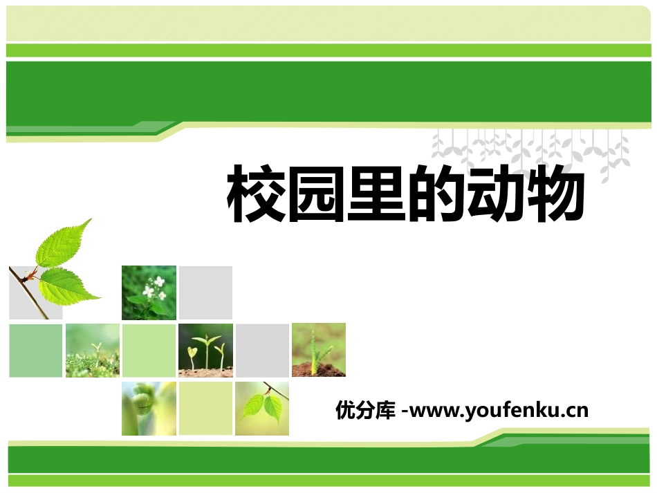 《校园里的动物》和动物交朋友PPT课件[人教版三年级科学]_第1页