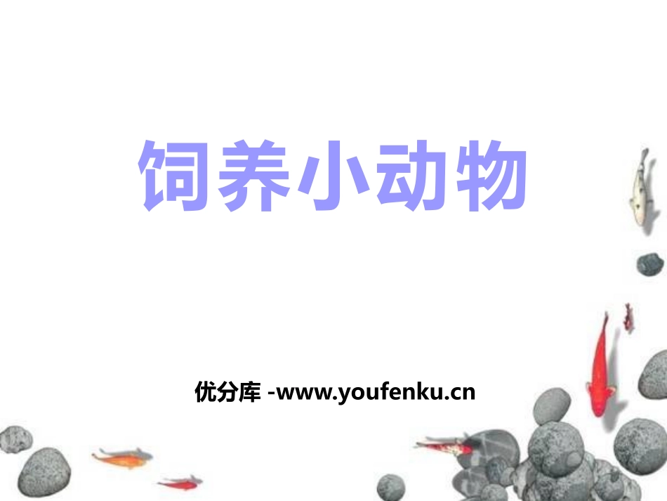《饲养小动物》和动物交朋友PPT课件[人教版三年级科学上册]_第1页