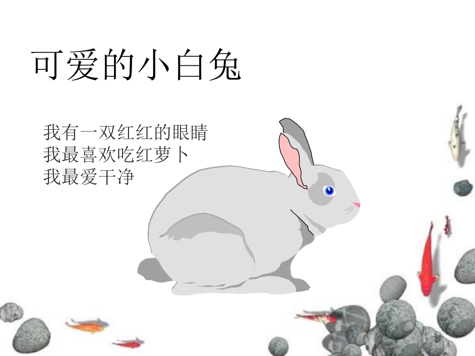 《饲养小动物》和动物交朋友PPT课件[人教版三年级科学上册]_第3页