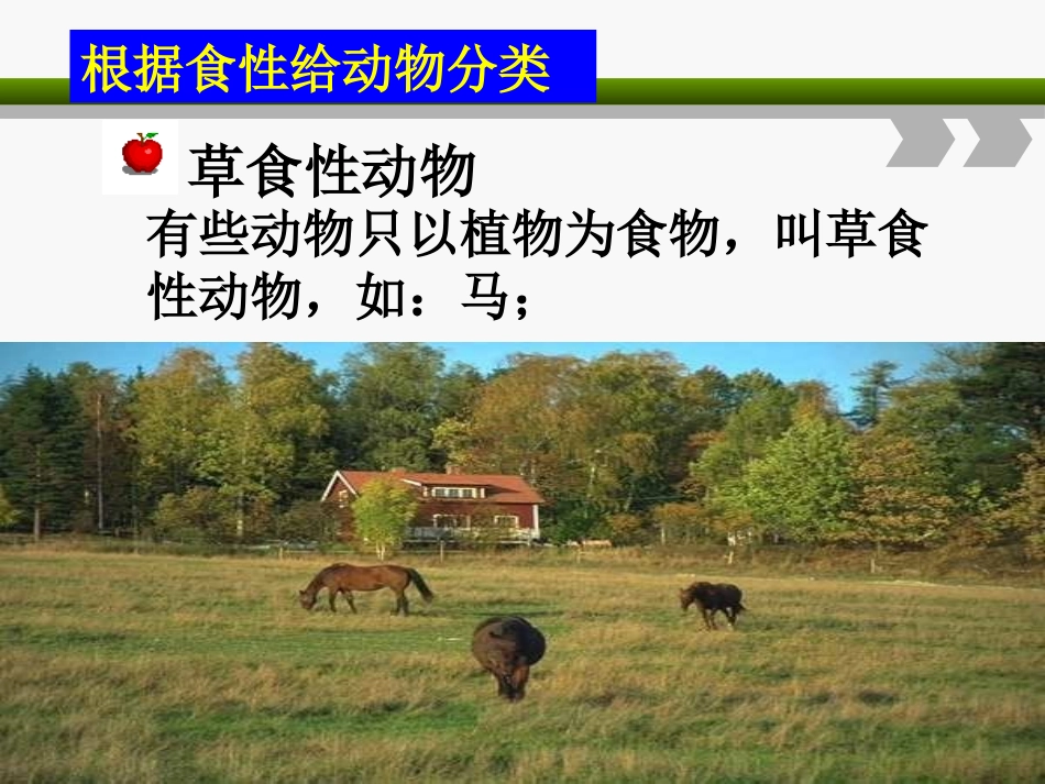 《动物的食物》动物的生活PPT课件[人教版三年级科学上册]_第2页