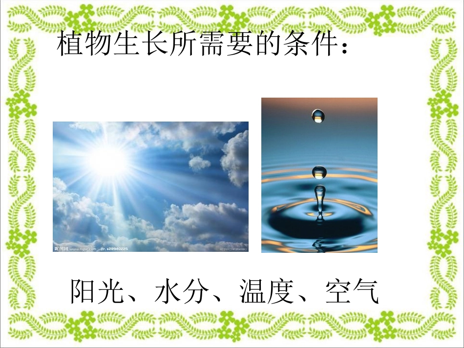 《动物的食物》动物的生活PPT课件[人教版三年级科学上册]_第2页