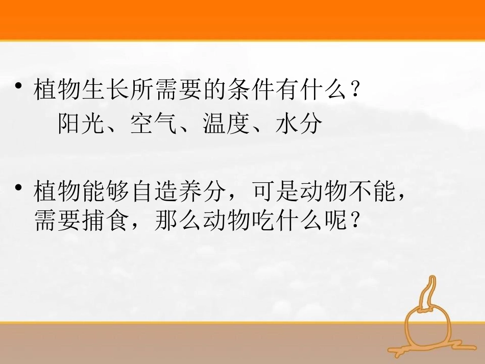 《动物的食物》动物的生活PPT课件[人教版三年级科学上册]_第2页