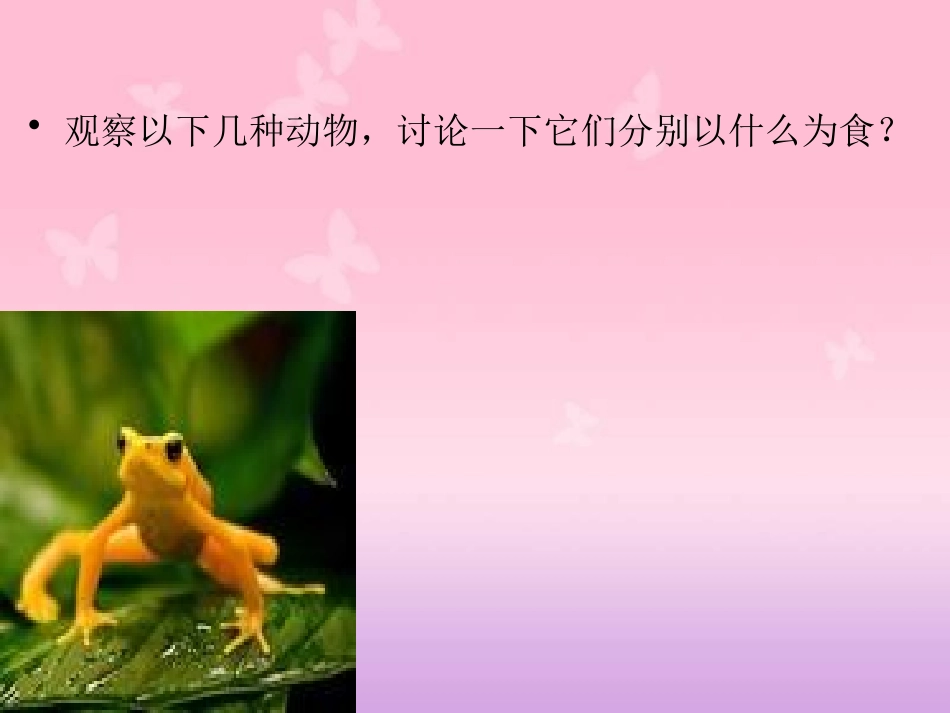《动物的食物》动物的生活PPT课件[人教版三年级科学上册]_第3页