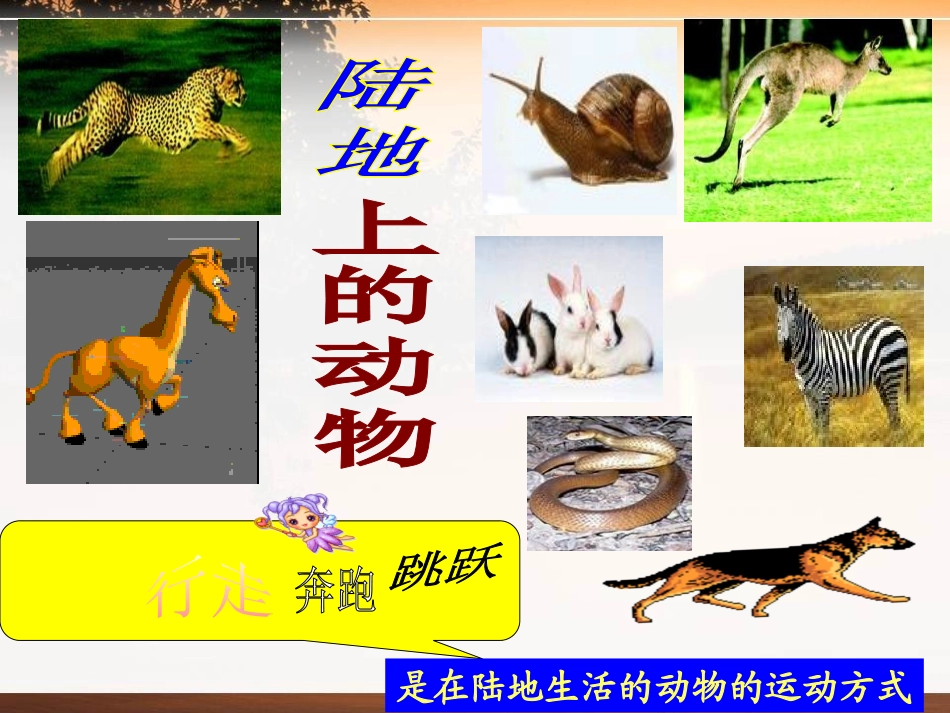 《动物的身体和运动》动物的生活PPT课件[人教版三年级科学]_第3页