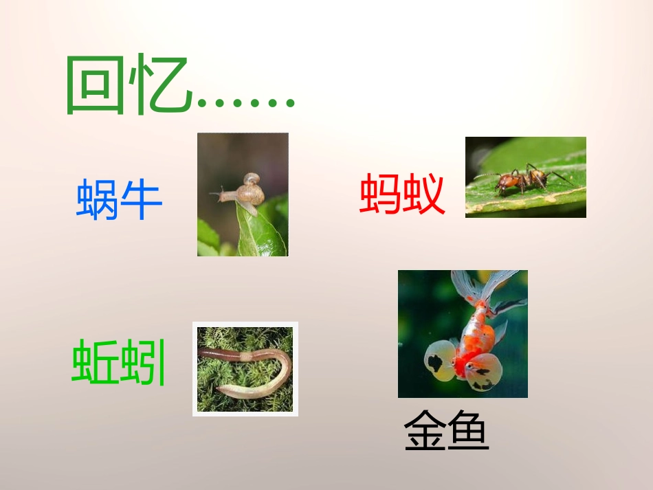 《我们和动物有哪些相同和不同》动物的生活PPT课件_第2页