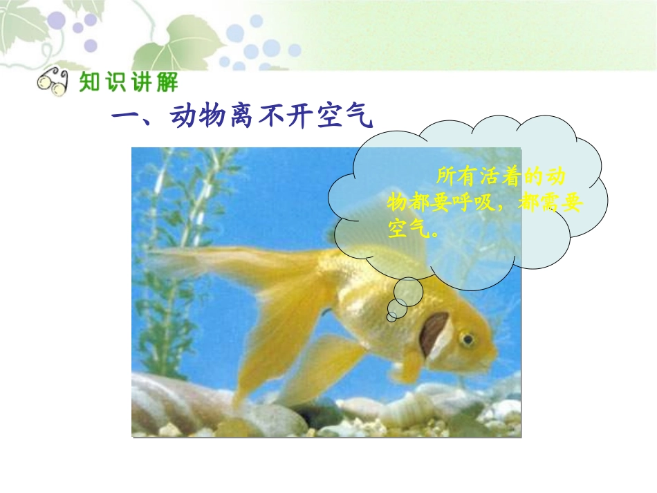 《离不开的空气》水和空气很重要PPT课件[人教版三年级科学]_第3页