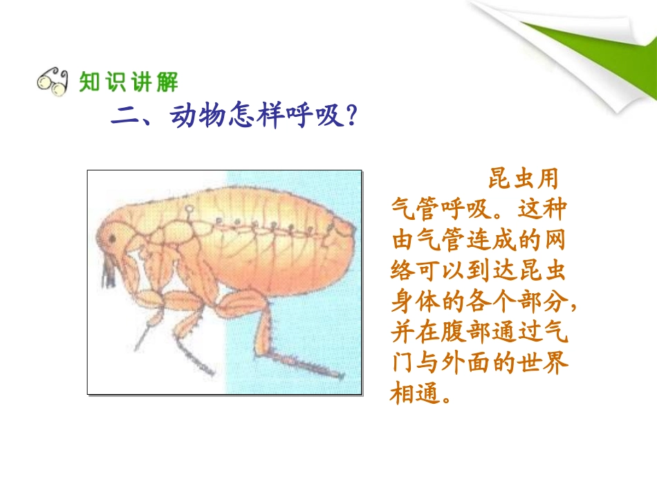《离不开的空气》水和空气很重要PPT课件[人教版三年级科学]_第3页