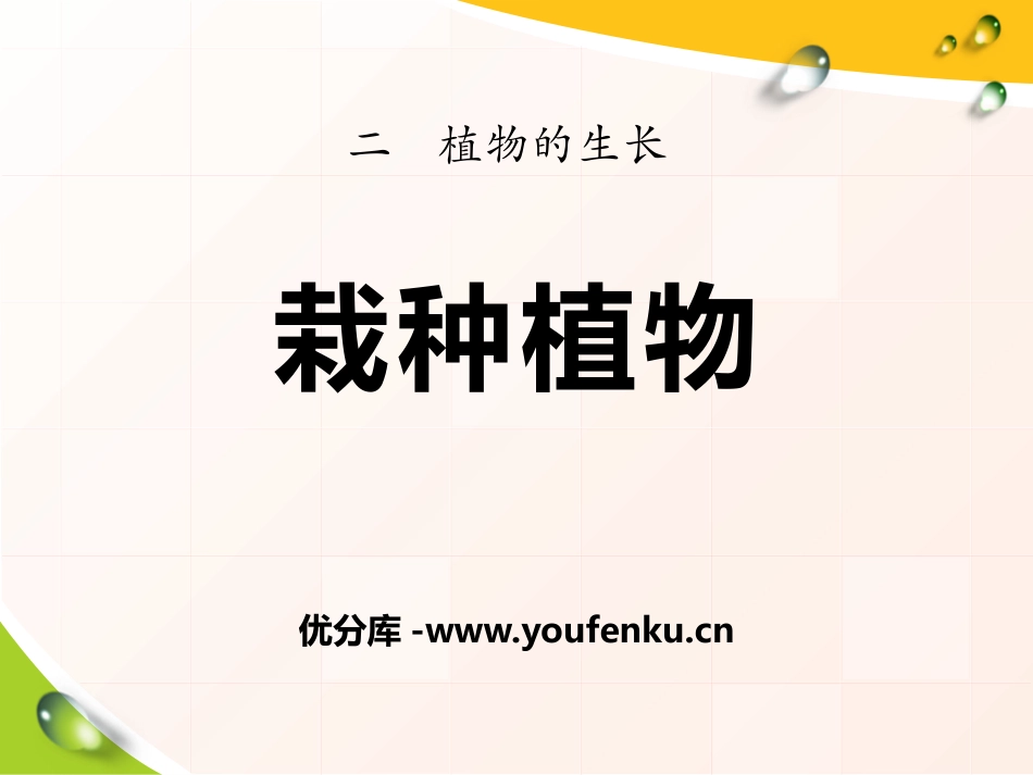 《栽种植物》植物的生长PPT课件[人教版三年级科学下册]_第1页