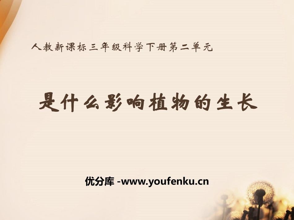 《是什么在影响植物生长》植物的生长PPT课件[人教版三年级科学]_第1页