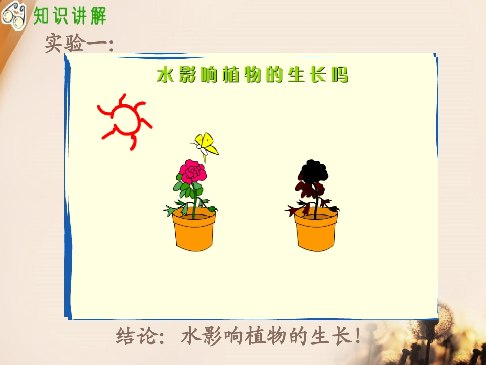 《是什么在影响植物生长》植物的生长PPT课件[人教版三年级科学]_第3页