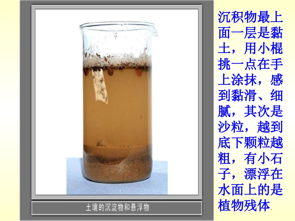 《土壤里有什么》植物生活的土地PPT课件[人教版三年级科学]_第3页