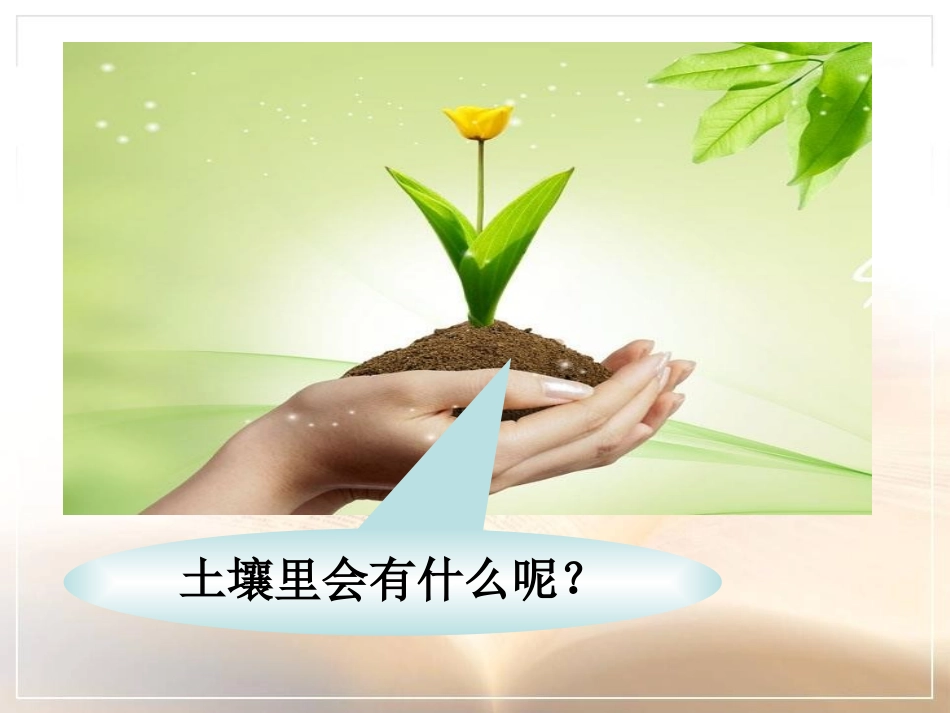 《土壤里有什么》植物生活的土地PPT课件[人教版三年级科学]_第2页