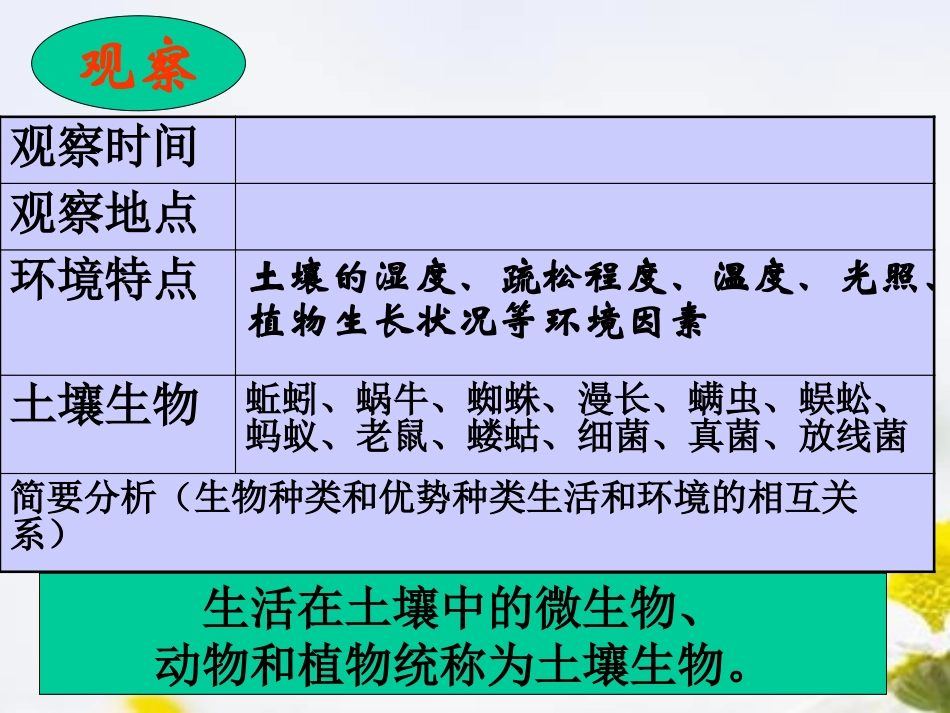 《土壤里有什么》植物生活的土地PPT课件[人教版三年级科学]_第3页