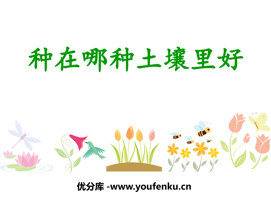 《种在哪种土壤里好》植物生活的土地PPT课件[人教版三年级科学]_第1页