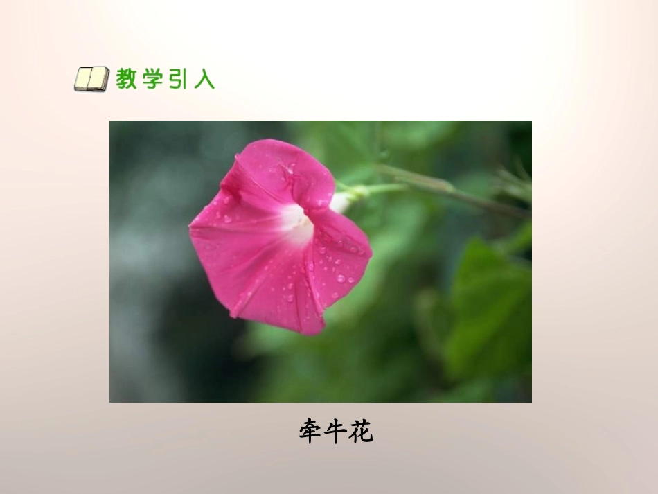 《种在哪种土壤里好》植物生活的土地PPT课件[人教版三年级科学]_第2页