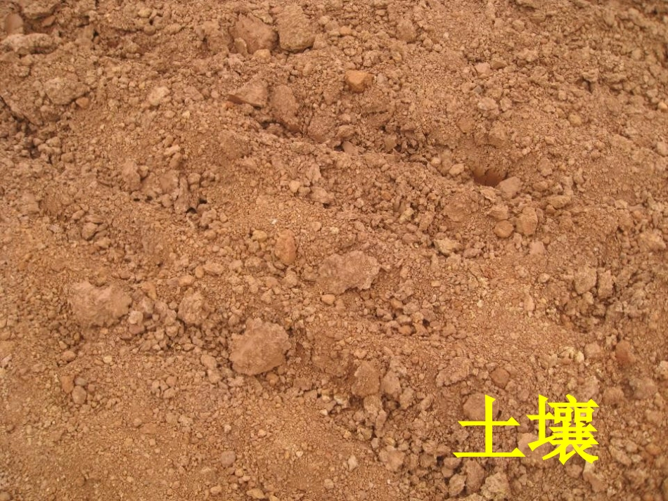 《土壤的保护》植物生活的土地PPT课件[人教版三年级科学]_第2页