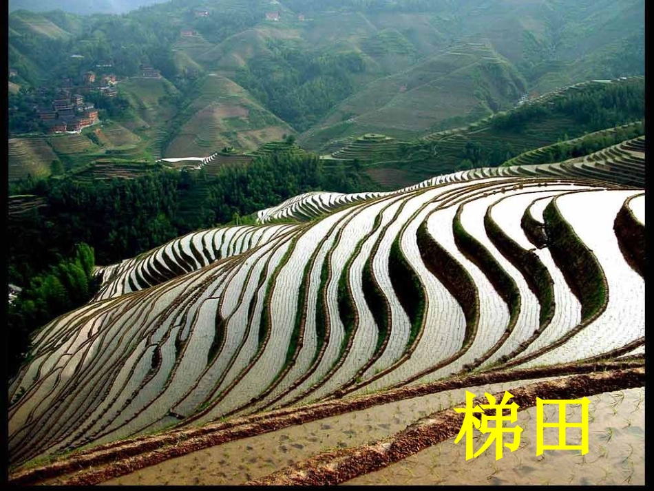 《土壤的保护》植物生活的土地PPT课件[人教版三年级科学]_第3页