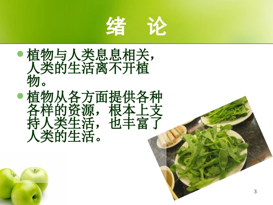 《植物和我们的生活》植物和我们PPT课件[人教版三年级科学]_第2页