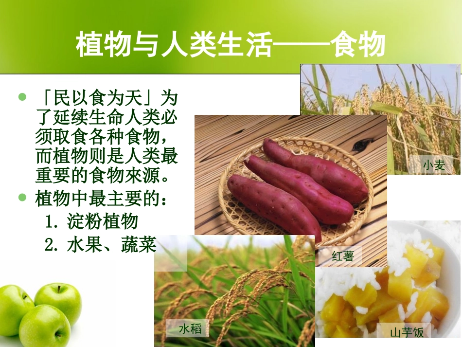 《植物和我们的生活》植物和我们PPT课件[人教版三年级科学]_第3页
