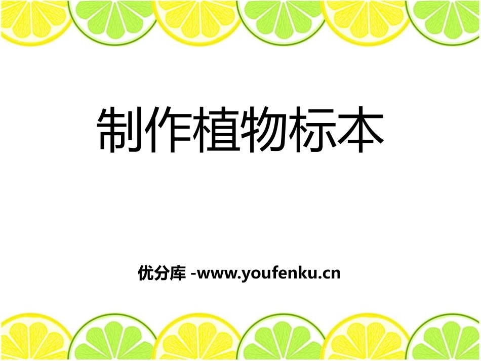 《制作植物标本》认识更多的生物PPT课件[人教版四年级科学]_第1页