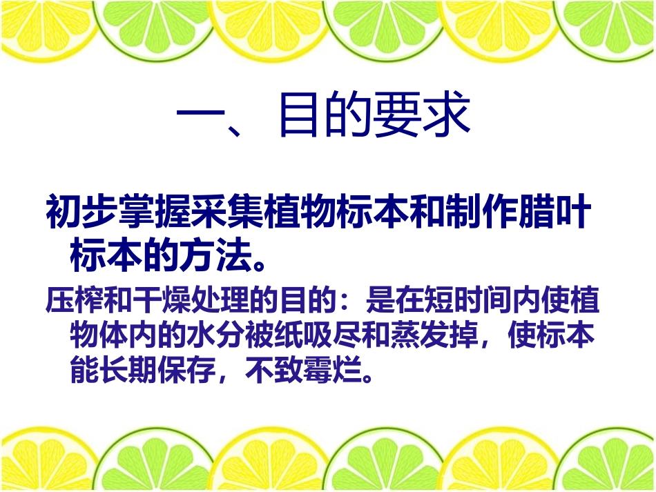 《制作植物标本》认识更多的生物PPT课件[人教版四年级科学]_第2页