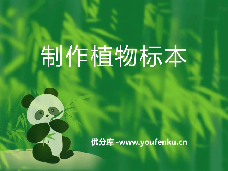 《制作植物标本》认识更多的生物PPT课件[人教版四年级科学]_第1页