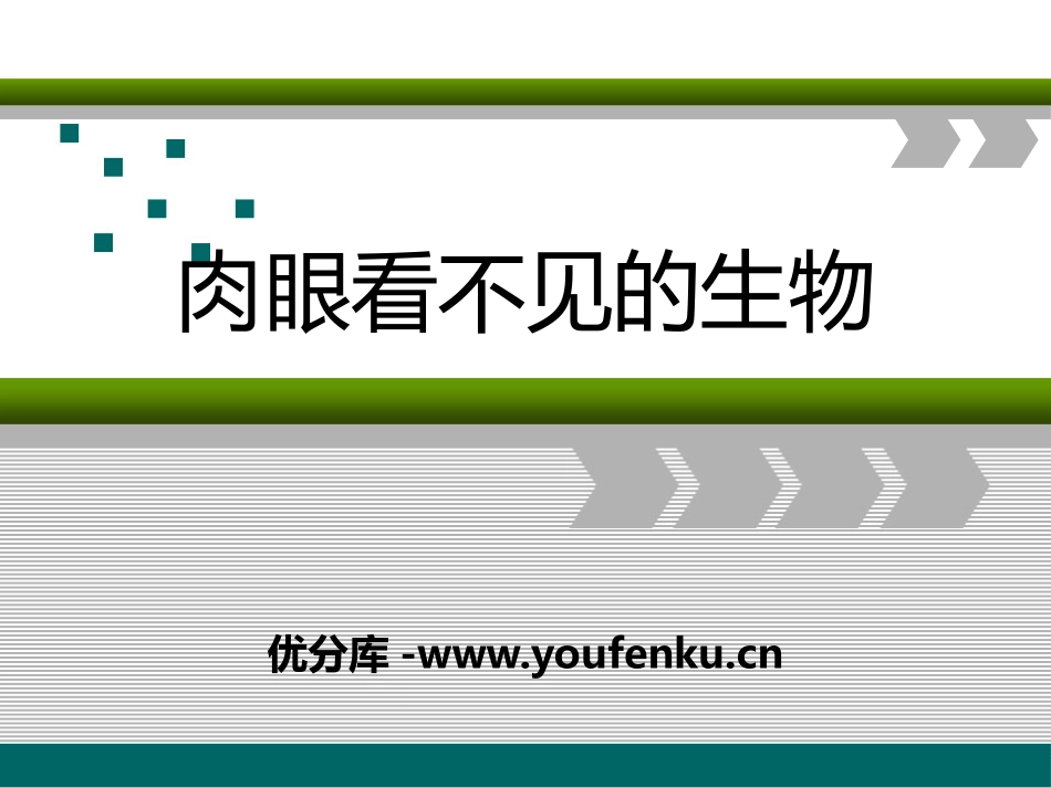 《肉眼看不见的生物》认识更多的生物PPT课件[人教版四年级科学]_第1页