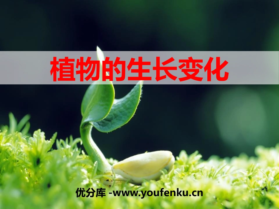 《植物的生长变化》生长与变化PPT课件[人教版五年级科学]_第1页