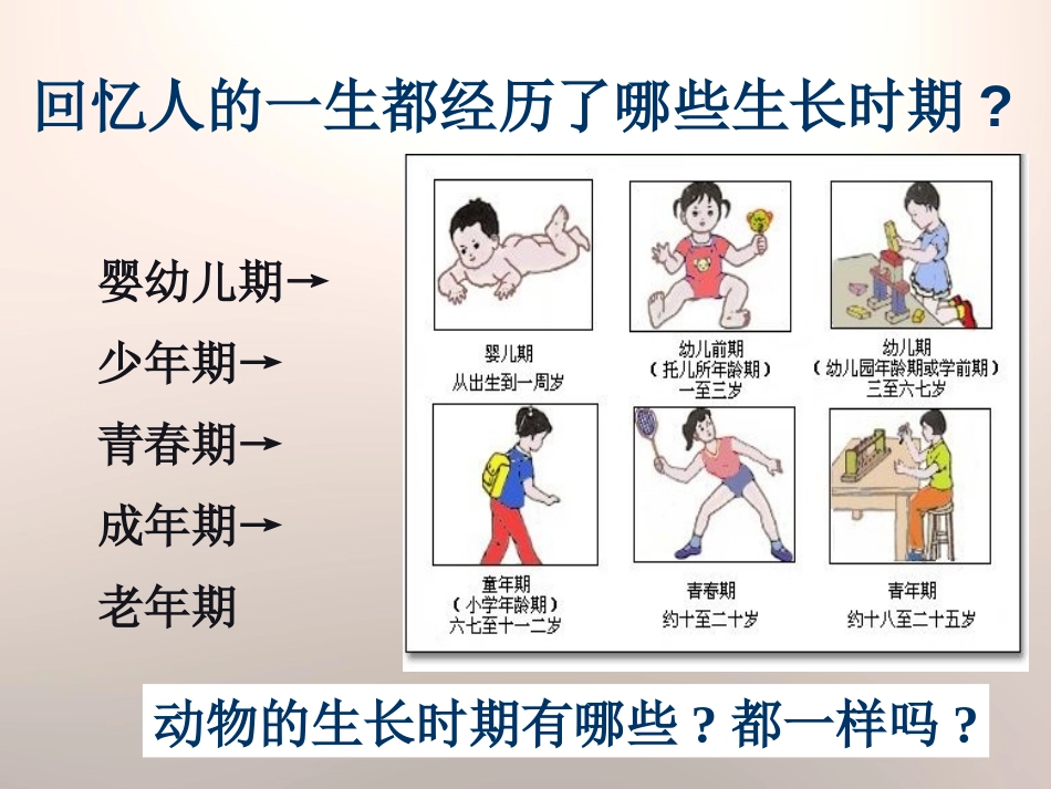 《动物的生长变化》生长与变化PPT课件[人教版五年级科学]_第2页