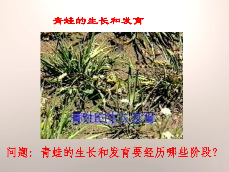 《动物的生长变化》生长与变化PPT课件[人教版五年级科学]_第3页